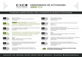 Cronograma de actividades de junio del Exel Institute