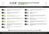 Cronograma de actividades de octubre del Exel Institute