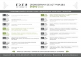 Actividades en Exel Institute: cronograma de enero